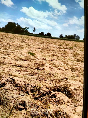 Land for sale Chonburi : Land For Sale In Si Racha, Chon Buri (ID 2520372)