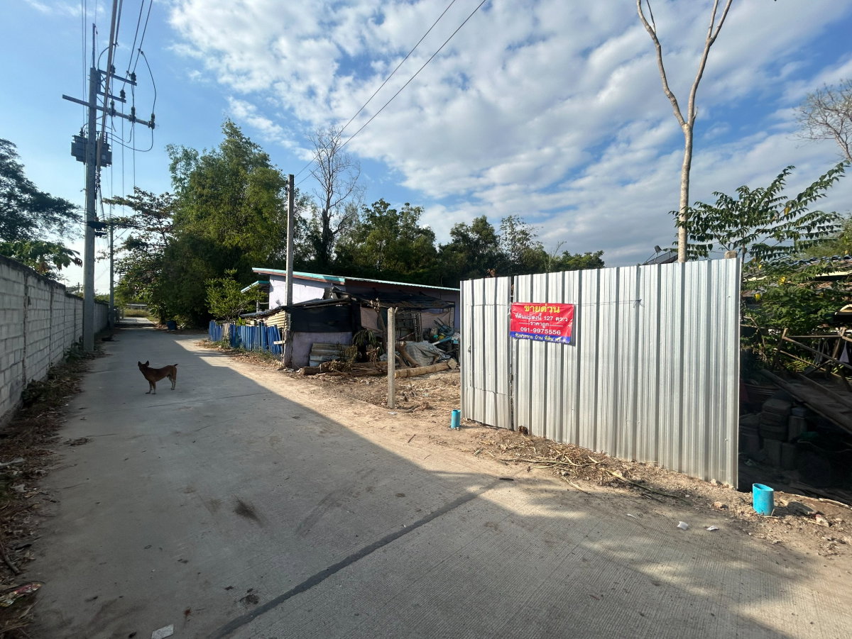รูป ที่ดิน EEC บ้านฉาง ระยอง 127 ตร.ว. แค่ 1,000,000 บาท ใกล้ M7 ด่านอู่ตะเภา แค่ 5 กม. - รูปที่ 8/13