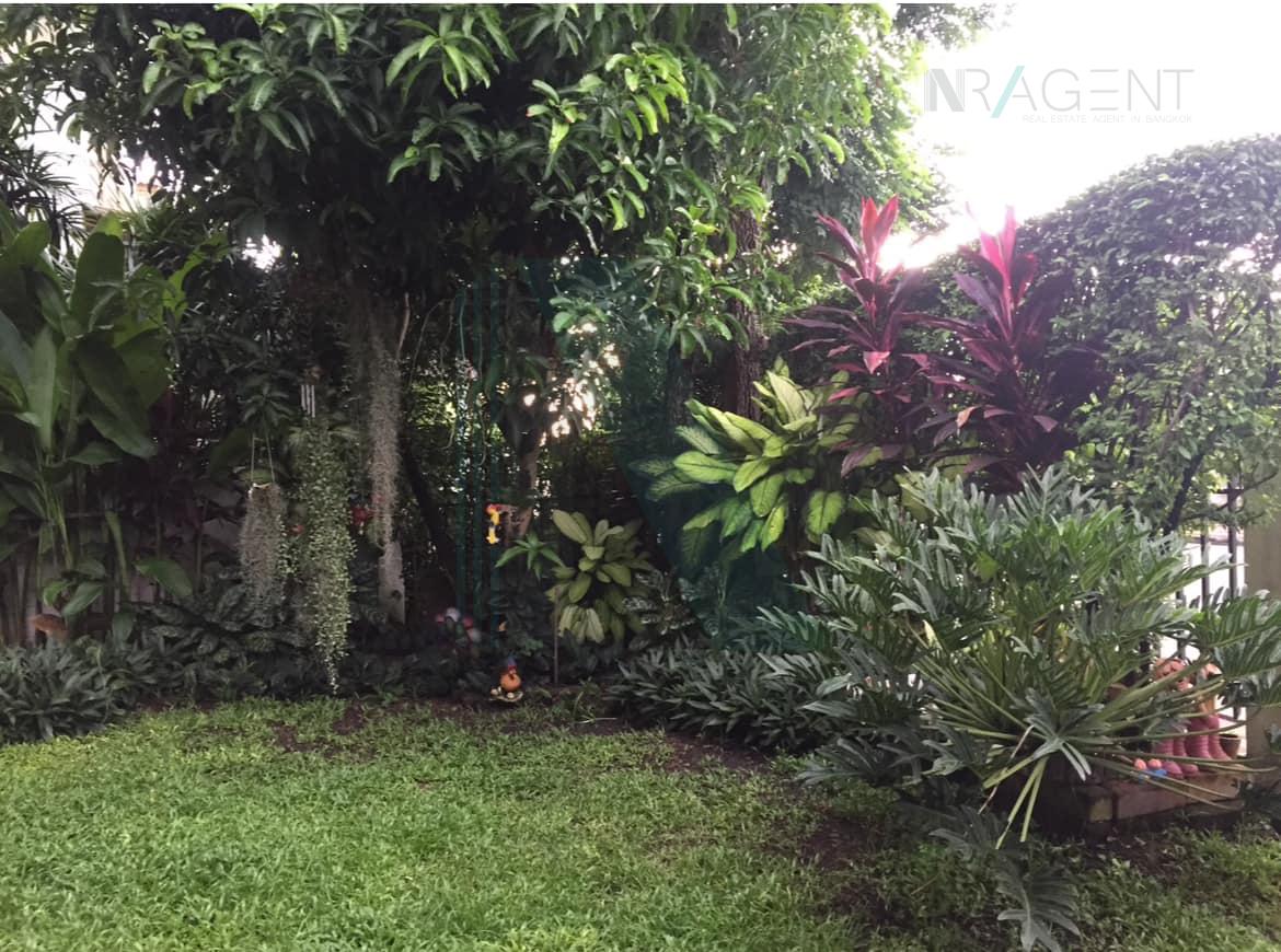 รูป ขายบ้านเดี่ยว โครงการ สราญสิริ ราชพฤกษ์-แจ้งวัฒนะ 2 ชั้น 3 ห้องนอน 3 ห้องน้ำ - รูปที่ 2/8