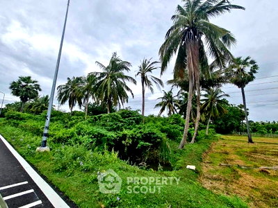 Land for rent Petchburi : Land For Rent Near Phetchaburi Railway Station, Tha Rap (฿35,000/Month) (ID 2528059)