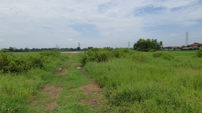 รูป ขายที่ดินเปล่า 112.4 ตร.วา ต.หนองแฝด อ.หนองจอก จ.กรุงเทพฯ - รูปที่ 6/9