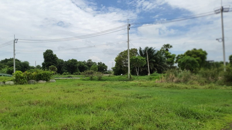 รูป ขายที่ดินเปล่า 112.4 ตร.วา ต.หนองแฝด อ.หนองจอก จ.กรุงเทพฯ - รูปที่ 9/9