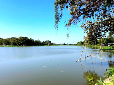 ที่ดิน สวนรุกขชาติกำแพงแสน : ขายที่ดินติดแม่น้ำนครชัยศรี จ.นครปฐม ทำเลดี ที่ดินถมแล้ว