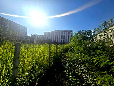 Land for sale Chiang Mai : Land for sale !! , near Cmu @Sethep, muangchiangmai, (Langmorchor. )
