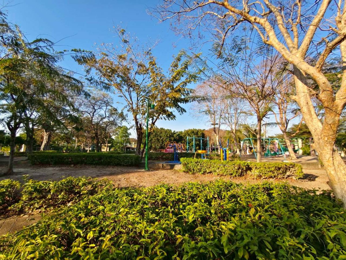รูป บ้านรีโนเวทใหม่ เนื้อที่เยอะกว้าง จัดสวนสวยงาม มบ.ชัยพฤกษ์ 1 คุ้มเกล้า 7 เขตมีนบุรี ราคาสุดคุ้ม ร่มรื่น - รูปที่ 38/58
