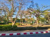 listing thumbnail image 39