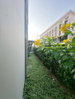 listing thumbnail image 19
