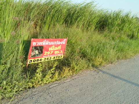 ขาย​ที่ดินเปล่า 297 ตร.ว.บางใหญ่ นนทบุรี  ใกล้ตลาดล่ำซำ ตลาดนัดลุงออม เหมาะลงทุนสร้างหอพัก / อพาร์ตเมนต์ / Home Office / บ้านพร้อมออฟฟิศ