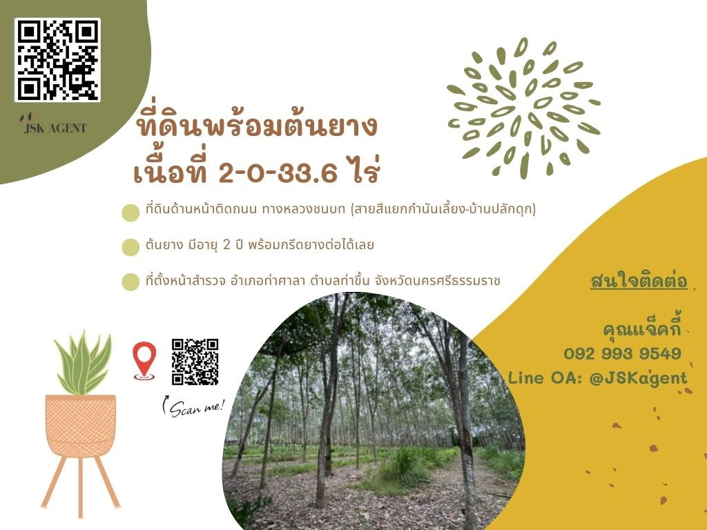 🔥 ขายที่ดินสวย ทำเลดี อ.ท่าศาลา นครศรีธรรมราช 🔥