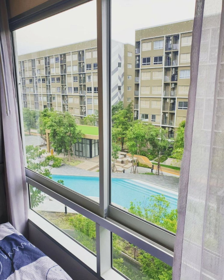 picture plum condo rangsit alive for sale - 9/10