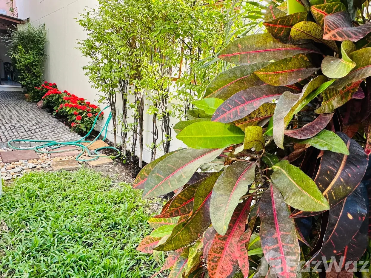 รูป บ้านเดี่ยวให้เช่า 5 ห้องนอน ใน คลองตันเหนือ, กรุงเทพมหานคร 5937016 - รูปที่ 9/19