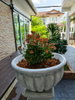 listing thumbnail image 18