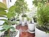 listing thumbnail image 19