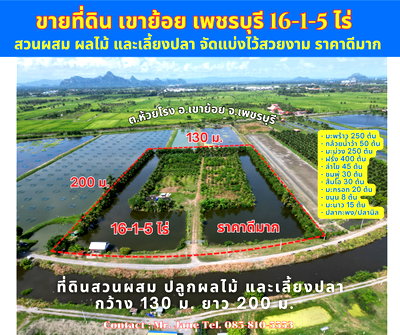 ที่ดิน วิทยาลัยการอาชีพอัมพวา : ายที่ดิน สี่เหลียมสวย ทำสวนผลไม้ผสม และเลี้ยงปลา วิวดีมาก ตำบลห้วยโรง อำเภอเขาย้อย เพชรบุรี 16-1-5 ไร่ ราคาดีมาก ขาย 390,000 บาทต่อไร่ เท่านั้น