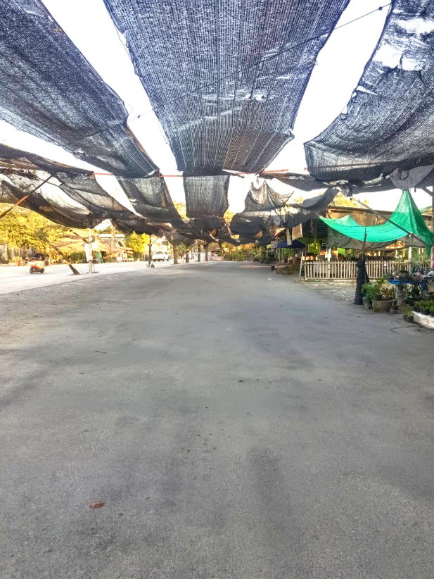 รูป ขายที่ดินแปลงใหญ่ ติดถนนบางระมาด ใกล้ตลาดคลองลัดมะยม  เหมาะพัฒนาโครงการที่อยู่อาศัยและเชิงพาณิชย์ - รูปที่ 5/12