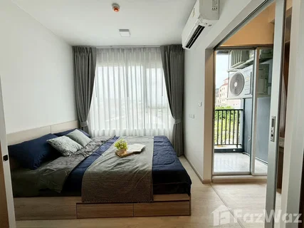 Plum Condo Sukhumvit 62 5629034