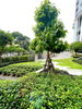 listing thumbnail image 18