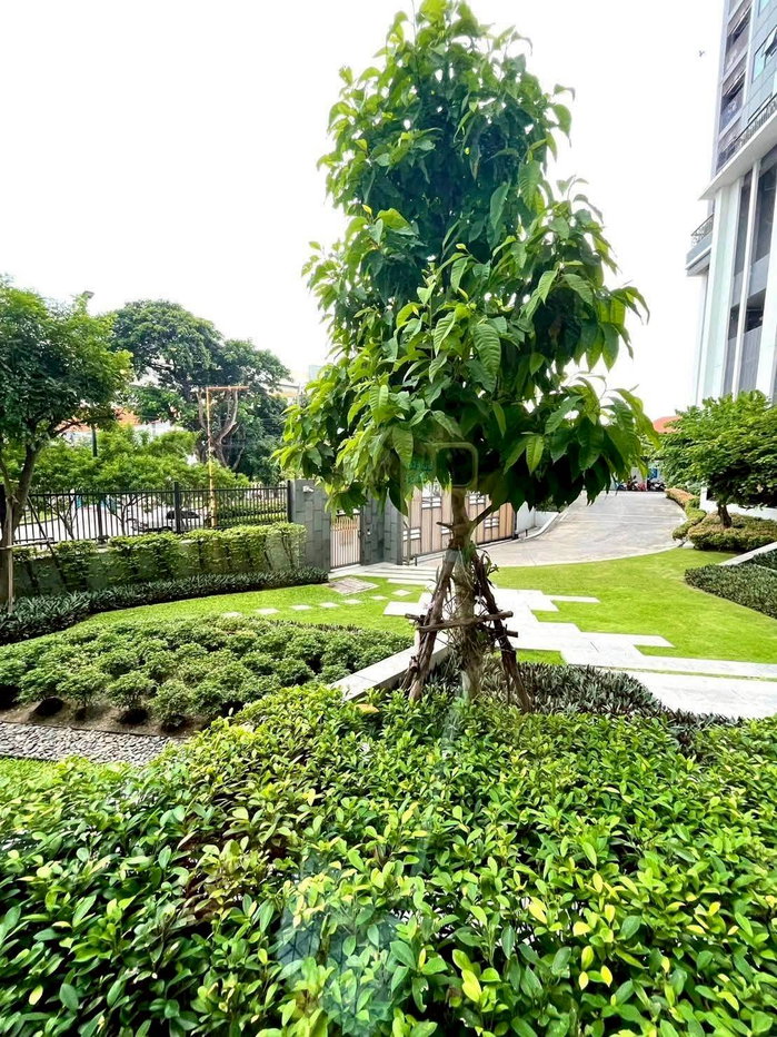 รูป Escent condo Chiangmai (CPN) ขาย::2,600,000 บาท  - รูปที่ 19/23