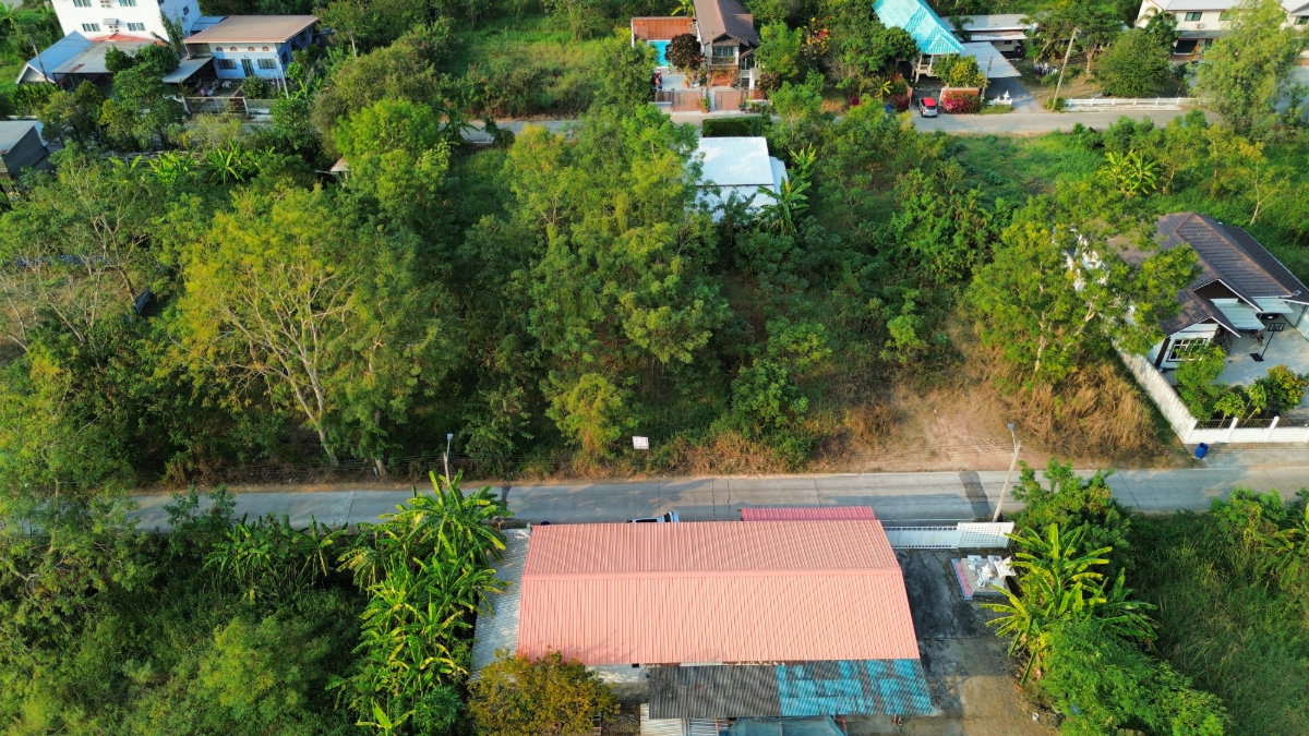 รูป ขายที่ดินถมแล้ว 104 ตร.ว. ใกล้ตลาดไท ต.คลองสาม อ.คลองหลวง จ.ปทุมธานี - รูปที่ 9/11