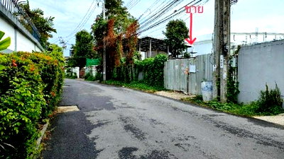 ที่ดิน ทรู ดิจิทัล พาร์ค : ขายที่ดิน ทำเลทอง 113 ตรว.สุขุมวิท71 (ซอยปรีดี พนมยงค์) เหมาะสร้างบ้านหรู หรือโครงการระดับพรีเมียม