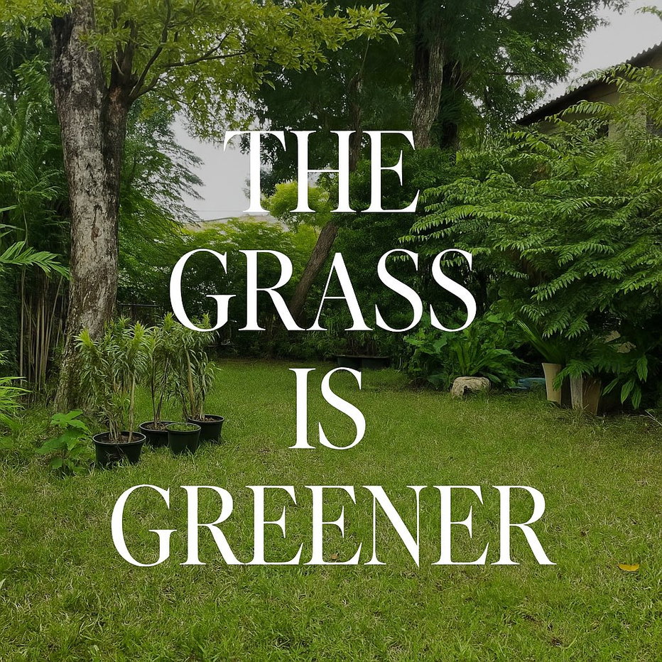 รูป  สัมมากร รามคำแหง 112  🌿 บ้านบรรยากาศสงบ โปร่งโล่ง รายล้อมด้วยธรรมชาติ - รูปที่ 2/20