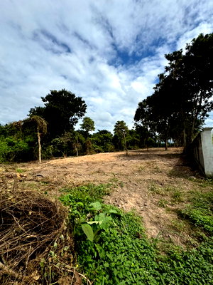 Land for sale Chiang Mai : Land for sale in Doi Saket, Chiang Mai.