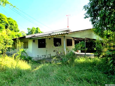 บ้านเดี่ยว นครปฐม : บ้านเดี่ยว 928 ตร.วา เมืองนครปฐม นครปฐม 3.2M