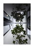 listing thumbnail image 27