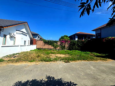 Land for sale Chiang Mai : Land for sale ,At Thadae ,Sanphisae, MeaungChiangMai