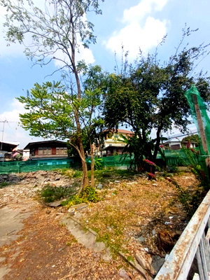 ที่ดิน สนามหลวง : LTHC14245 – Land for Sale | Onnut 11 | 114 sqw | Near BTS Onnut | 20.09 MB | ที่ดินขาย อ่อนนุช 11