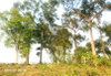 listing thumbnail image 3
