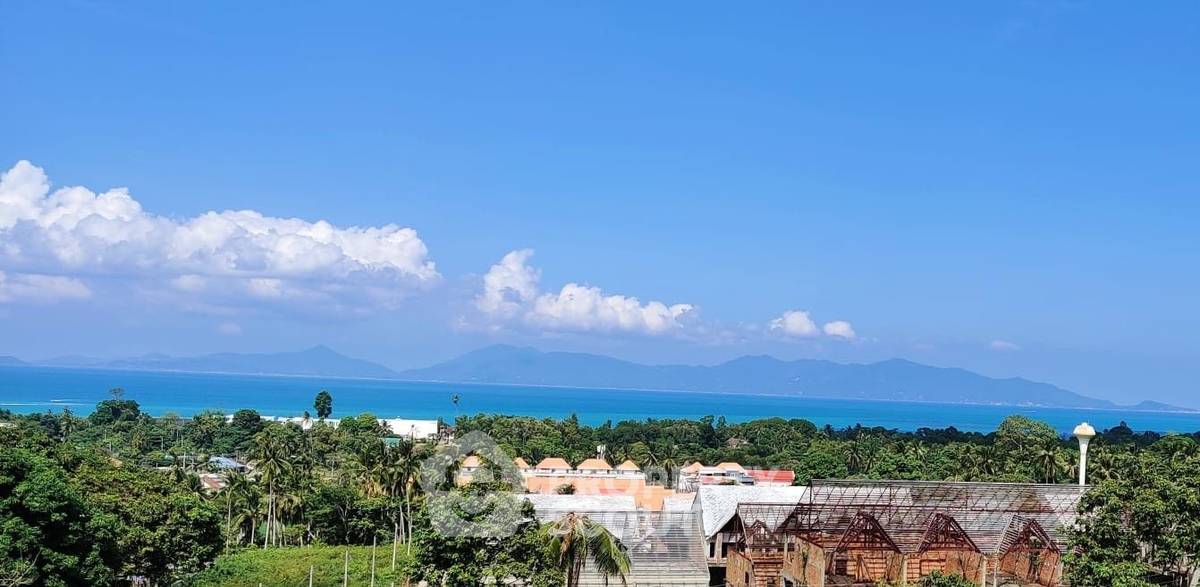รูป บ้านวิลล่า 4 ห้องนอน ขนาด 490 ตร.ม. ใกล้หาดแม่น้ำ (เลี้ยงสัตว์ได้) (ID 2057570) - รูปที่ 2/20