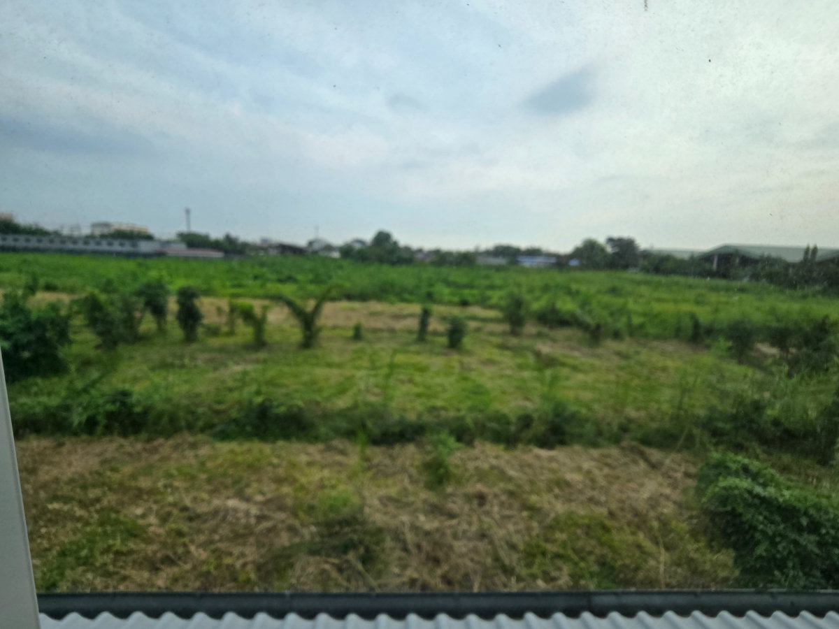 รูป ขายบ้านเดี่ยว หมู่บ้านมณฑล 3 พุทธมณฑล สาย 3 จากถนนเข้าซอย 100 ม. - รูปที่ 14/20