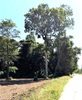 listing thumbnail image 1