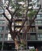 listing thumbnail image 10