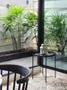listing thumbnail image 4