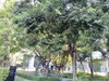 listing thumbnail image 23