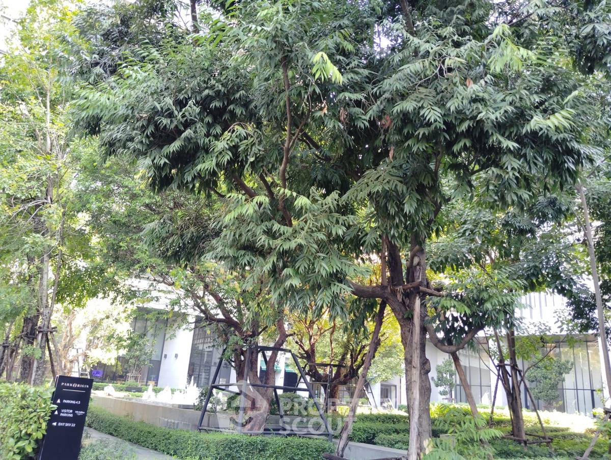 รูป ราคาดี 2 ห้องนอน ชั้น 28 Park Origin Phrom Phong ใกล้ BTS พร้อมพงษ์ (ID 2029999) - รูปที่ 24/26