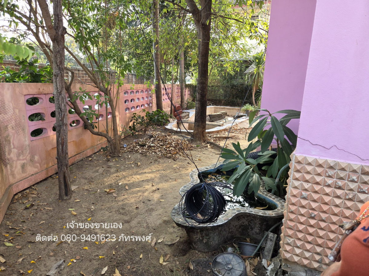 รูป [ขายตามสภาพ] 2.99 ลบ. ฟรีโอน บ้านเดี่ยวหลังมุม 62.2 ตร.ว. - รูปที่ 4/13