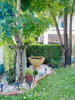 listing thumbnail image 36
