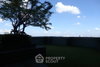 listing thumbnail image 27