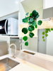 listing thumbnail image 15