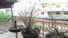 listing thumbnail image 26