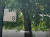 listing thumbnail image 28