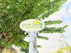 listing thumbnail image 25