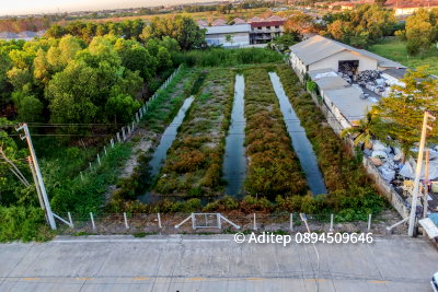 ที่ดิน รังสิต คลองสอง : ขายที่ดินซอยบงกช 59 คลองสอง ปทุมธานี ขนาด 2 ไร่ ติดถนนคอนกรีต ทำเลดี  เหมาะสำหรับพัฒนาเป็น โกดัง คลังสินค้า หรือที่อยู่อาศัย