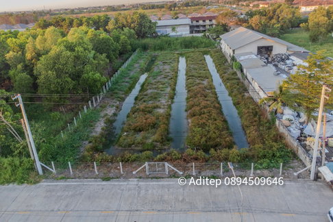 ขายที่ดินซอยบงกช 59 คลองสอง ปทุมธานี ขนาด 2 ไร่ ติดถนนคอนกรีต ทำเลดี  เหมาะสำหรับพัฒนาเป็น โกดัง คลังสินค้า หรือที่อยู่อาศัย