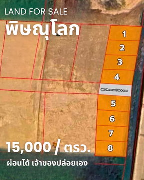 ขายที่ดิน "ไข่แดง" ใจกลางเมืองพิษณุโลก – ทำเลทองที่หาไม่ได้อีกแล้ว!