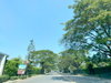 listing thumbnail image 38