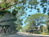 listing thumbnail image 39